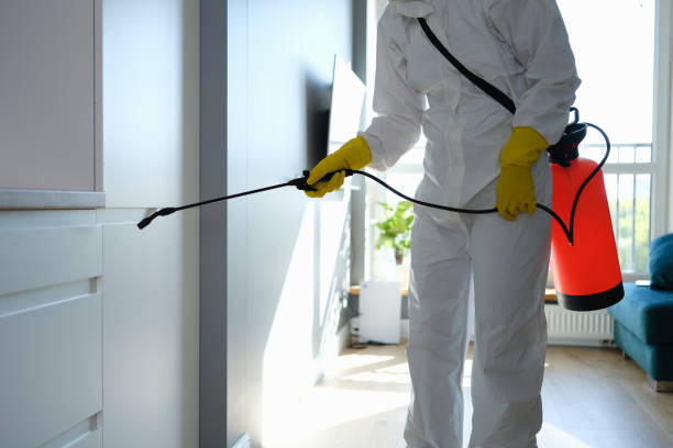 Best DIY Mold Remediation Support Services in Red Lake, MN