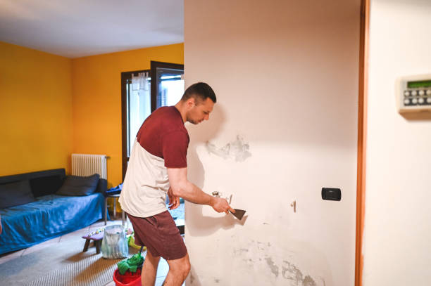 Best Post-Flood Mold Remediation in Red Lake, MN